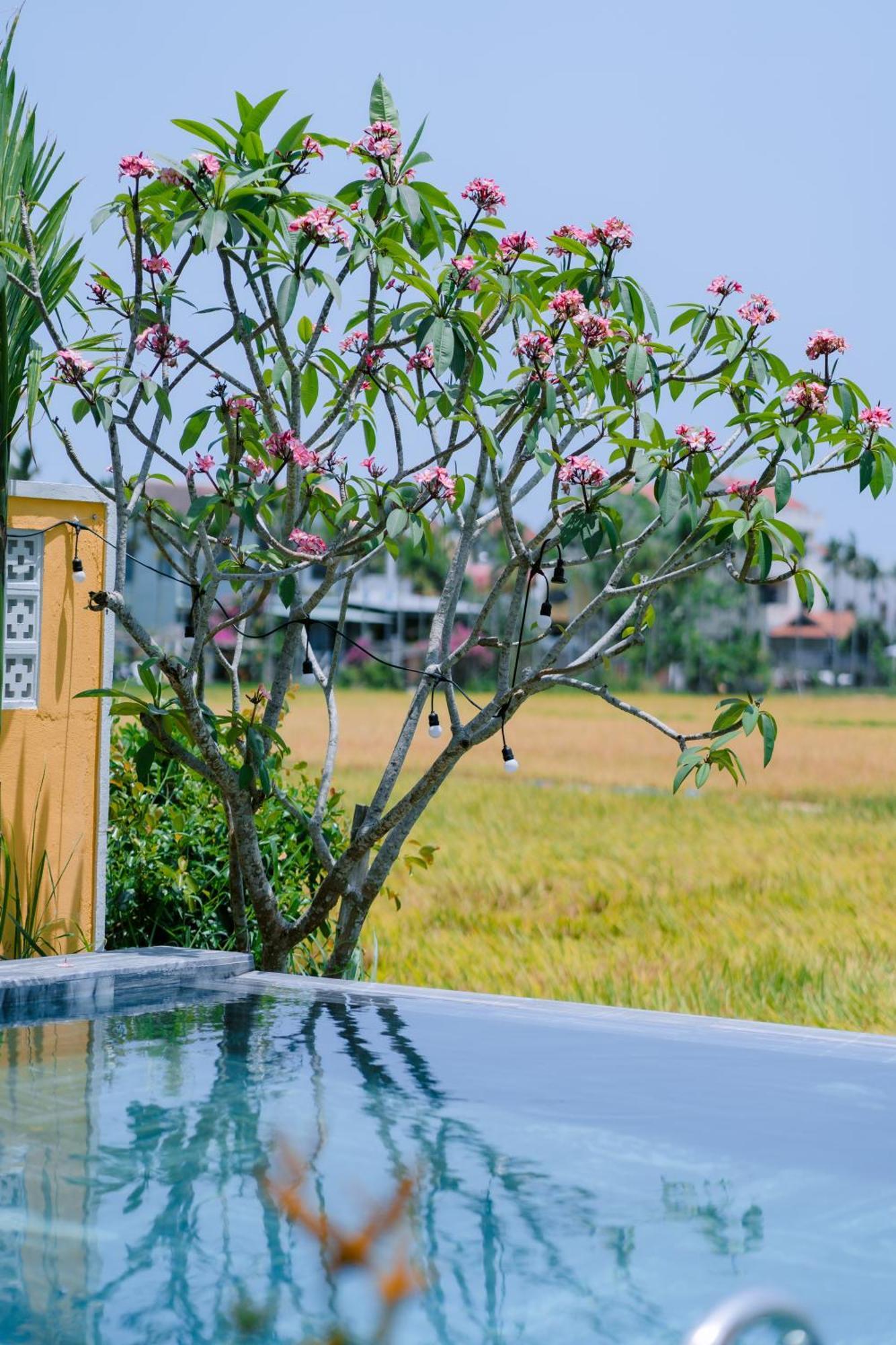 Bs Jade Home Hoi An Exteriér fotografie